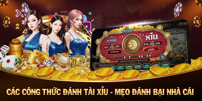 Dự đoán số số miền Nam hôm nay chính xác nhất